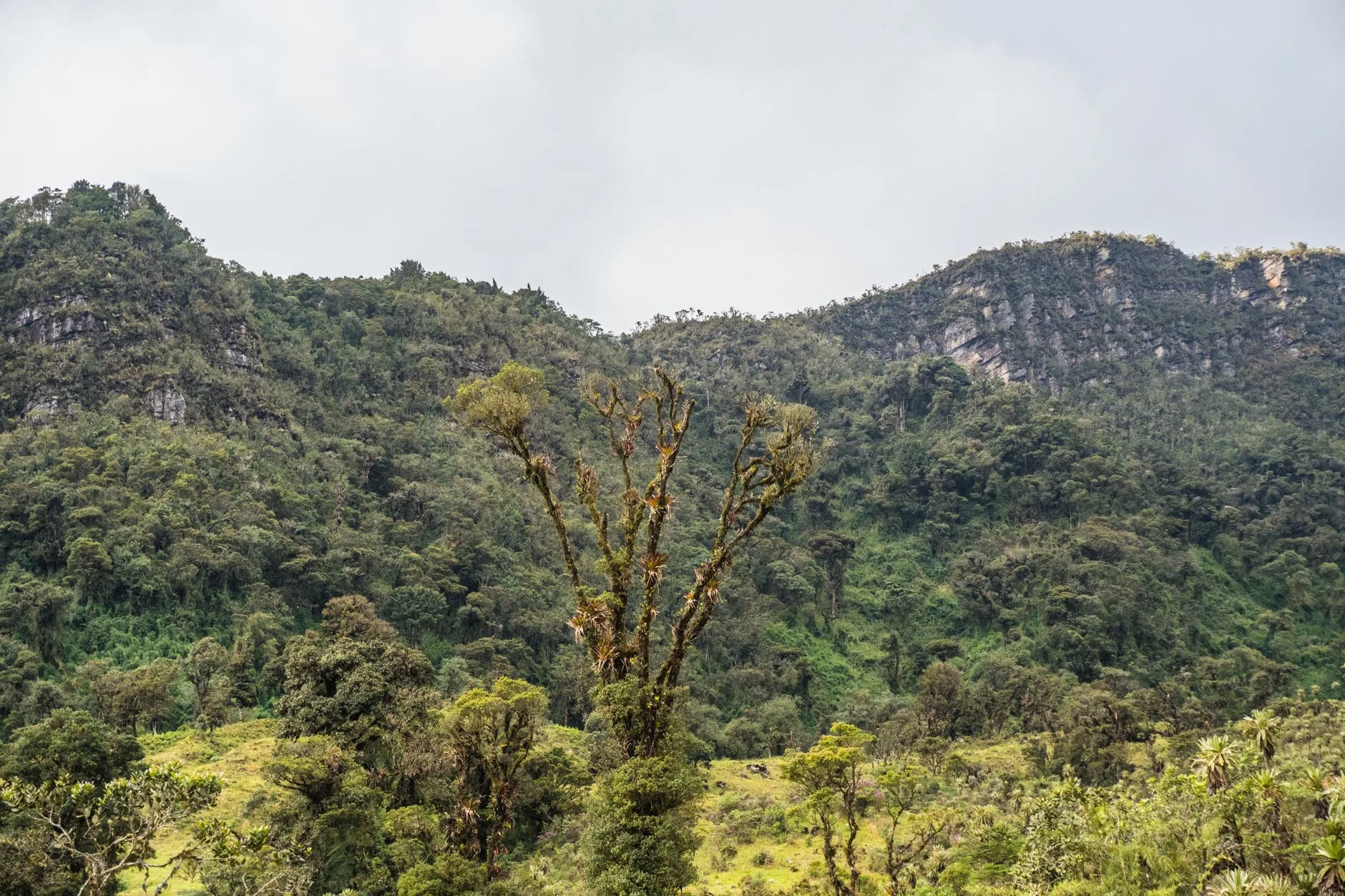 ️ Comprendre la géographie de Mount Hagen