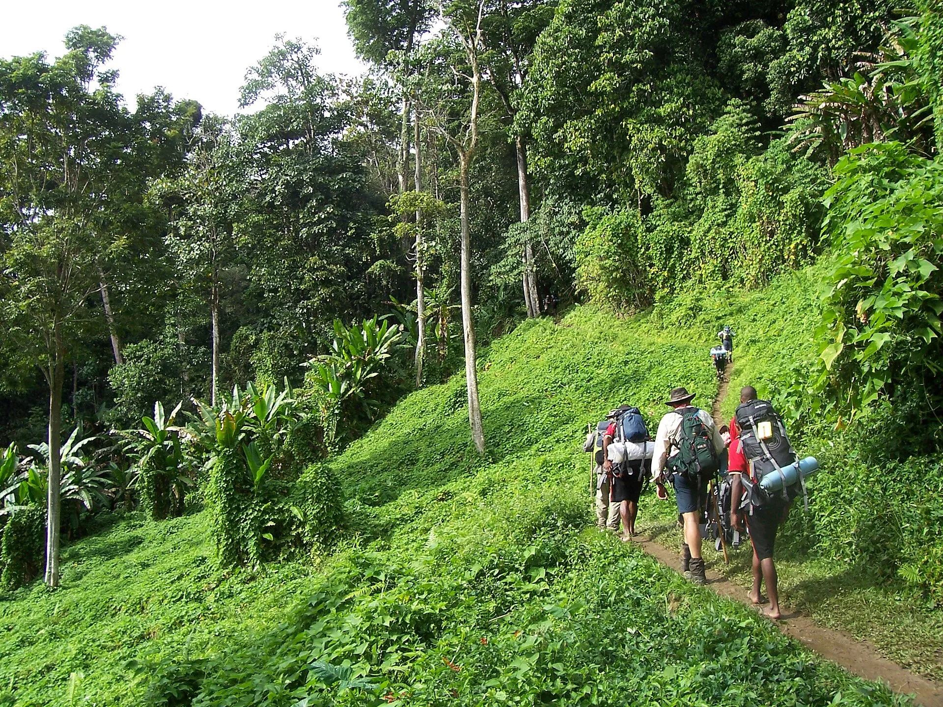 Guides et porteurs de trek (Kokoda Track ou Highlands)